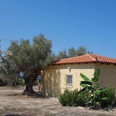 House By The Sea At Skaloma, Loutraki Βίλα Λίμνη Βουλιαγμάνης Εξωτερικό φωτογραφία