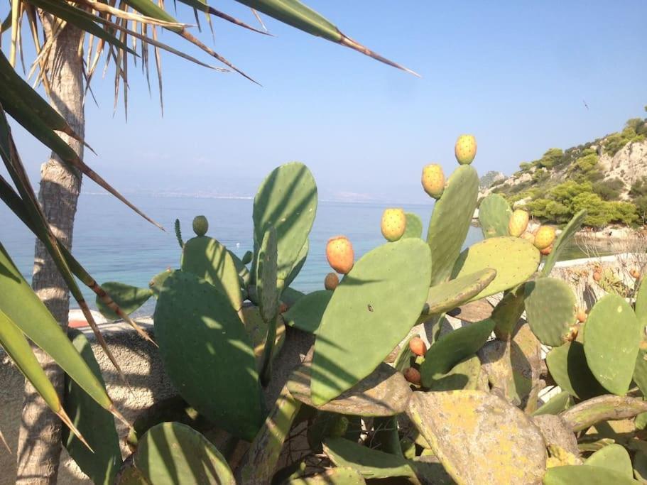 House By The Sea At Skaloma, Loutraki Βίλα Λίμνη Βουλιαγμάνης Εξωτερικό φωτογραφία